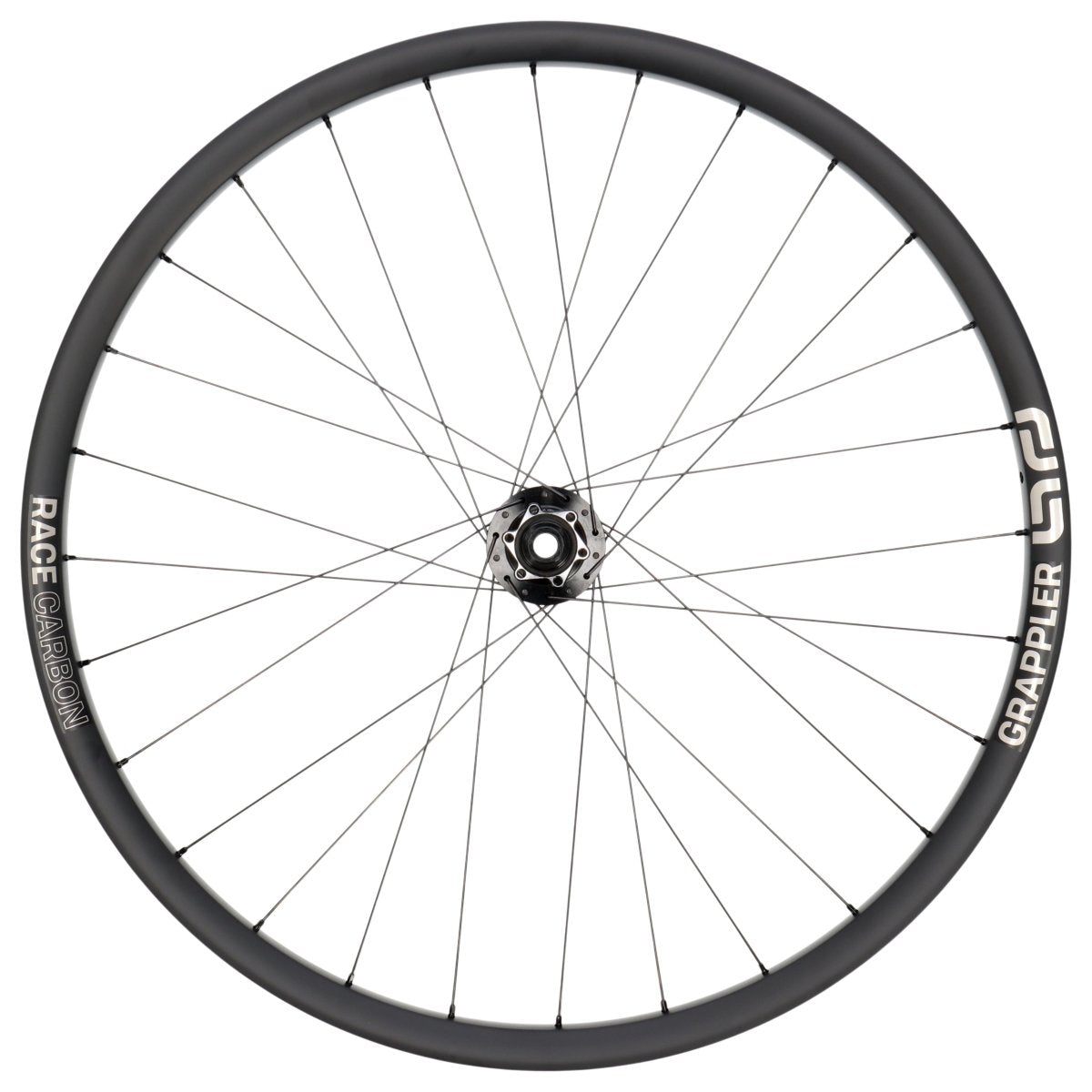 E*Thirteen Grappler Race Carbon E-Spec | Vorderrad 29" | E-MTB | Disc 6-Loch | 15x110 mm Boost - RAAAD.de