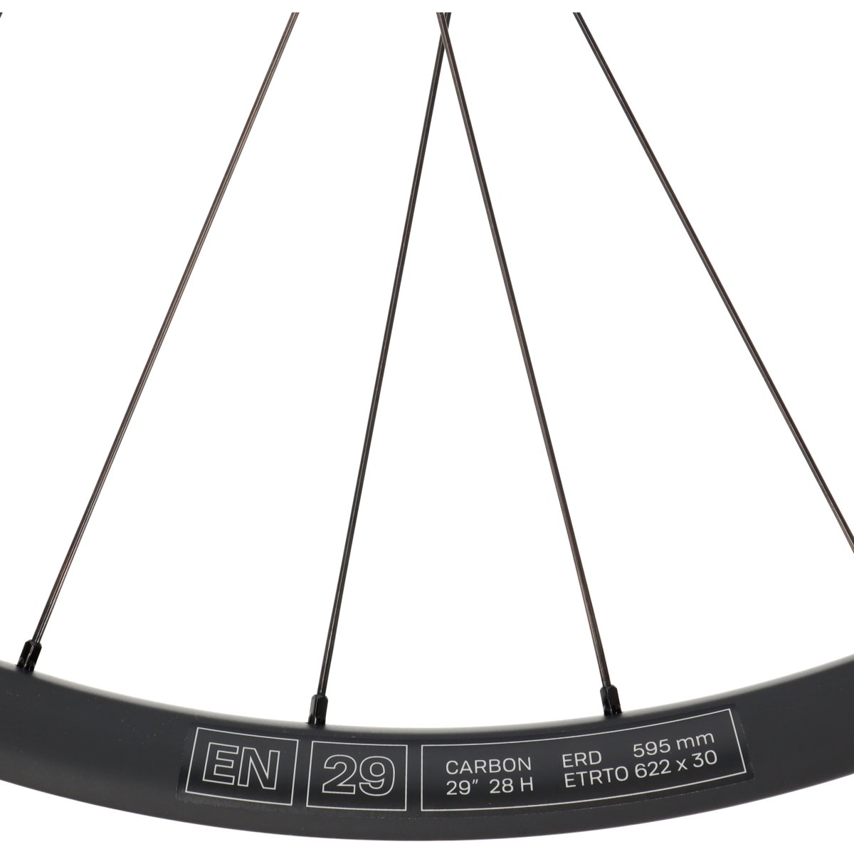 E*Thirteen Grappler Race Carbon | Laufradsatz 29" | MTB | Disc 6-Loch | 15x110 / 12x148 mm Boost | SRAM XD - RAAAD.de