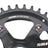 SRAM Apex 1 Kurbelgarnitur | 175 mm | 40 Zähne | GXP | 1x10-/11-fach | Rennrad, Gravel - RAAAD.de